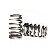 TOMEI 163027 Valve Springs