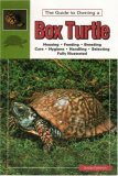 The Guide to Owning a Box Turtle