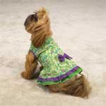 Tiered Ruffle Sundresses - Small