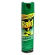 Raid House & Garden Bug Killer Spray - 11 Oz