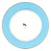 Love Birds pip Teller 21 cm Durchmesser Hellblau
