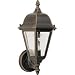 1-100M 8X15 EB LANTERN