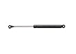 StrongArm 4428  Buick Century Hood Lift Support 1978-96, Pack of 1
