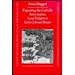 Exporting the Catholic Reformation: Local Religion in Early-Colonial Mexico (Cultures, Beliefs and Traditions)