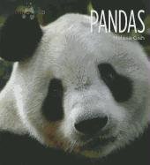 Pandas (Living Wild)