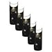 Shooting Star Designer French Tips DTGT15