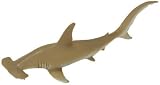Monterey Bay Aquarium - Hammerhead Shark
