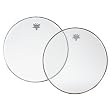Remo Ambassador Hazy Snare Head - 14"