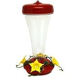 Top Fill Aster Hummingbird Feeder 16 oz.