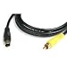 Search Our Specialty Mall : S-Video to Composite Video Cable