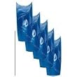 Shooting Star Designer French Tips DT011