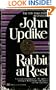 Rabbit at Rest