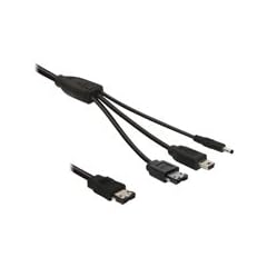 DELOCK Kabel eSATAp > eSATA/miniUSB/ DC-5V 1m