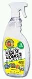 Everyday Stain and Odor Remover 22 Oz.