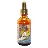 3 Mushroom - For viruses, immune system, blood cleanser, and lowers cholesterol, 2 oz,(Health Herbs)