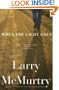 When the Light Goes: A Novel