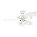 Hunter 25521 - 3 blade 54 sweep White Outdoor Ceiling Fan