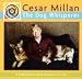 Search : Cesar Millan The Dog Whisperer 2008 Desk Calendar