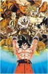 Dragonball Z Poster 4618