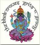 The Black Crowes - Jealous Guy Lyrics - Zortam Music