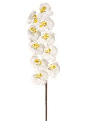 Pack of 6 Artificial Large White Phalaenopsis Orchid Silk Flower Sprays 41