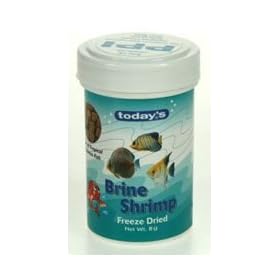 Today'S F/D Brine Shrimp 8G Bulk Deal of 12