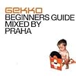 Gekko Beginners Guide