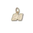Jeff Gordon Charm/Pendant