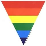 Rainbow Triangle - Sticker / Decal