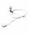 Westinghouse Clear C7 Replacement Christmas Light For Villages - White Wire