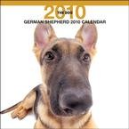German Shepherd Dog by THE DOG Artlist 2010 Wall Calendar 12 x 12