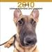 German Shepherd Dog by THE DOG Artlist 2010 Wall Calendar 12 x 12