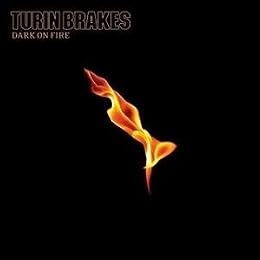 Turin Brakes Picture 2