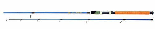 Zebco Ruten 3.00m Topic Spin Star 15-40g, mehrfarbig, 1522300 Preisvergleich