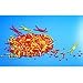 Chromosome Simulation Class Activity Kit