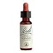 Bach Original Flower Essences, Vervain - 20 ml, Pack of 12