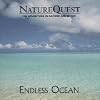 Endless Ocean