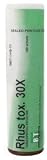 B&T - Rhus Toxicodendron 30X 100 Tabs