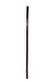 PoliVaz BA-15-B Bamboo Stalk, Brown
