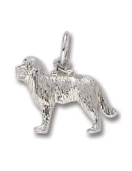 Dog, Newfoundland Charm