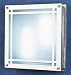 HELENA 2 LIGHT ENERGY SAVING FLUSH LUMINAIRE