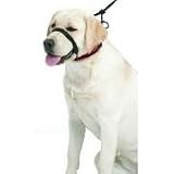 Sporn Head Halter - Converts to a Collar - Medium - Black