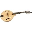 Breedlove American Series OF Mandolin