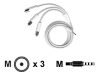 Childrens Toyshop  Electronics : IPOD AV CABLE