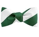 Bow Tie Green/White College Stripe