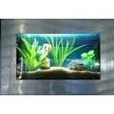 Small Rectangle Wallmounted Aquarium