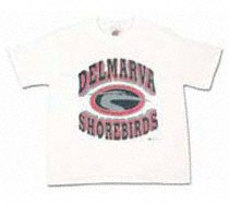 Delmarva Shorebirds Youth Minor League Baseball T-Shirt