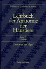 Produkt-Bild: Lehrbuch der Anatomie der Haustiere