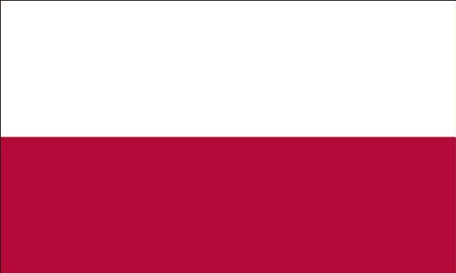 America's Flag Company FF2X3NPOL1 2-Foot by 3-Foot Nylon Poland Flag