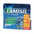 Lamisil AT Antifungal...